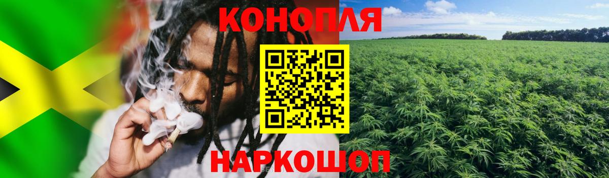 Губаха  Марихуана гибрид  Бошки марихуана планчик  Шишки марихуана THC 21%  Вход с VPN 